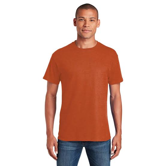 Gildan T-Shirts