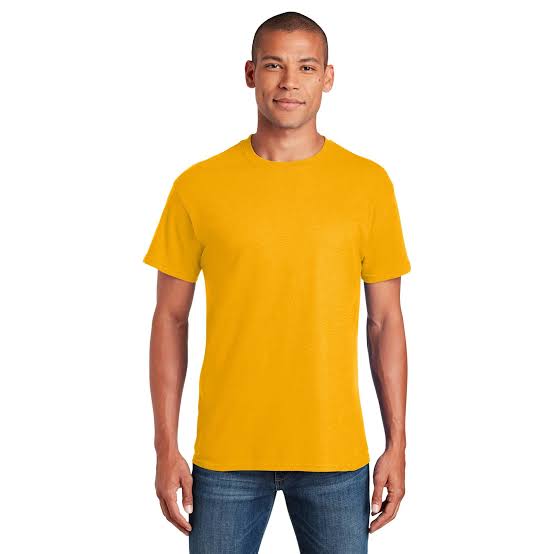 Gildan T-Shirts