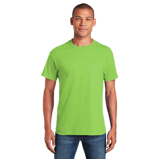 Gildan T-Shirts